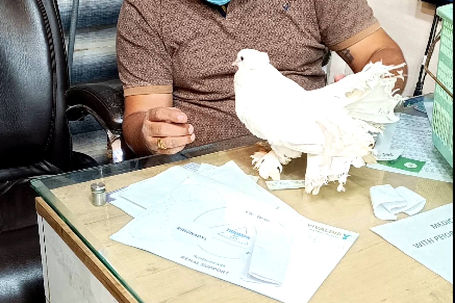 Bird consultation at Royal Pet Clinic