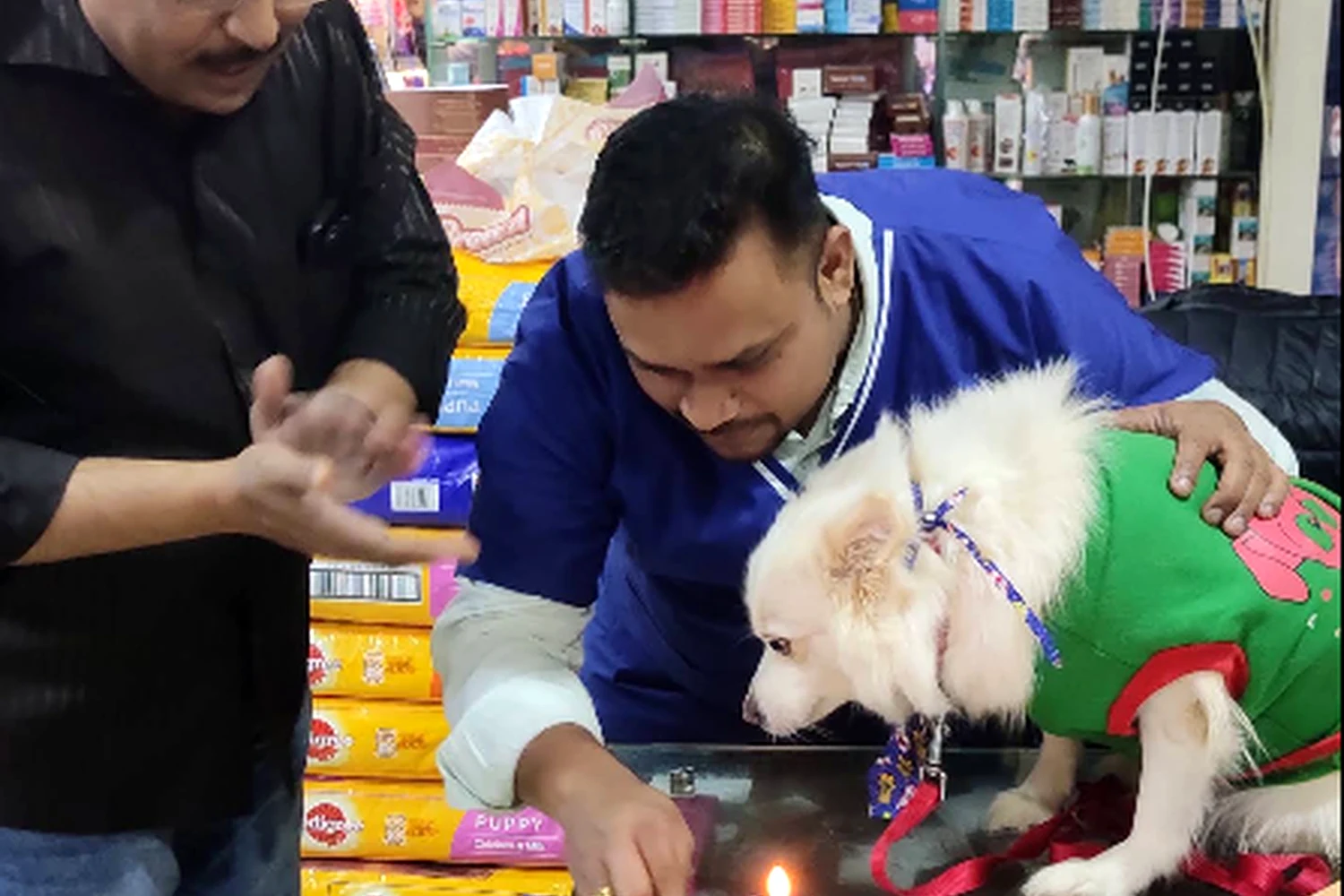 Pet care moment inside Royal Pet Clinic